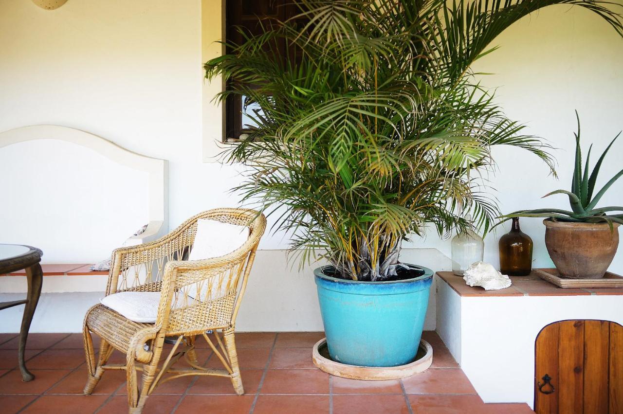 Ferienwohnung Moba - Monte Do Barranquinho São Luís Exterior foto